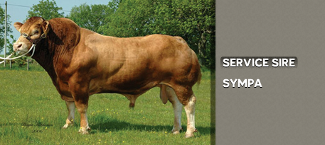 SERVICE SIRE: SYMPA